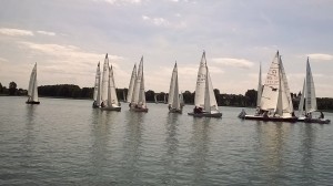 11752111_844598705617621_1626144341_o