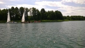 11752564_844599018950923_1783985019_o