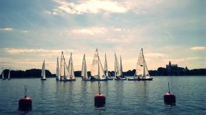 11777621_844598802284278_292156067_o