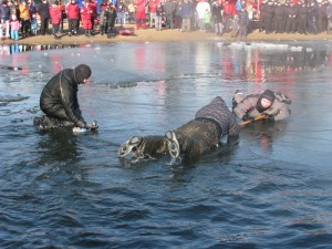 IMG_1876