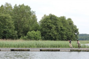 IMG_1764