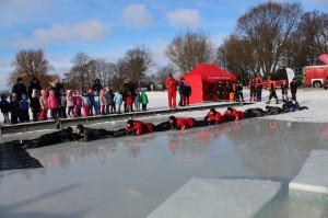 IMG_5619