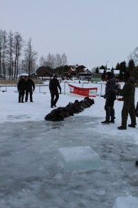 IMG_5847