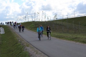 IMG_0351